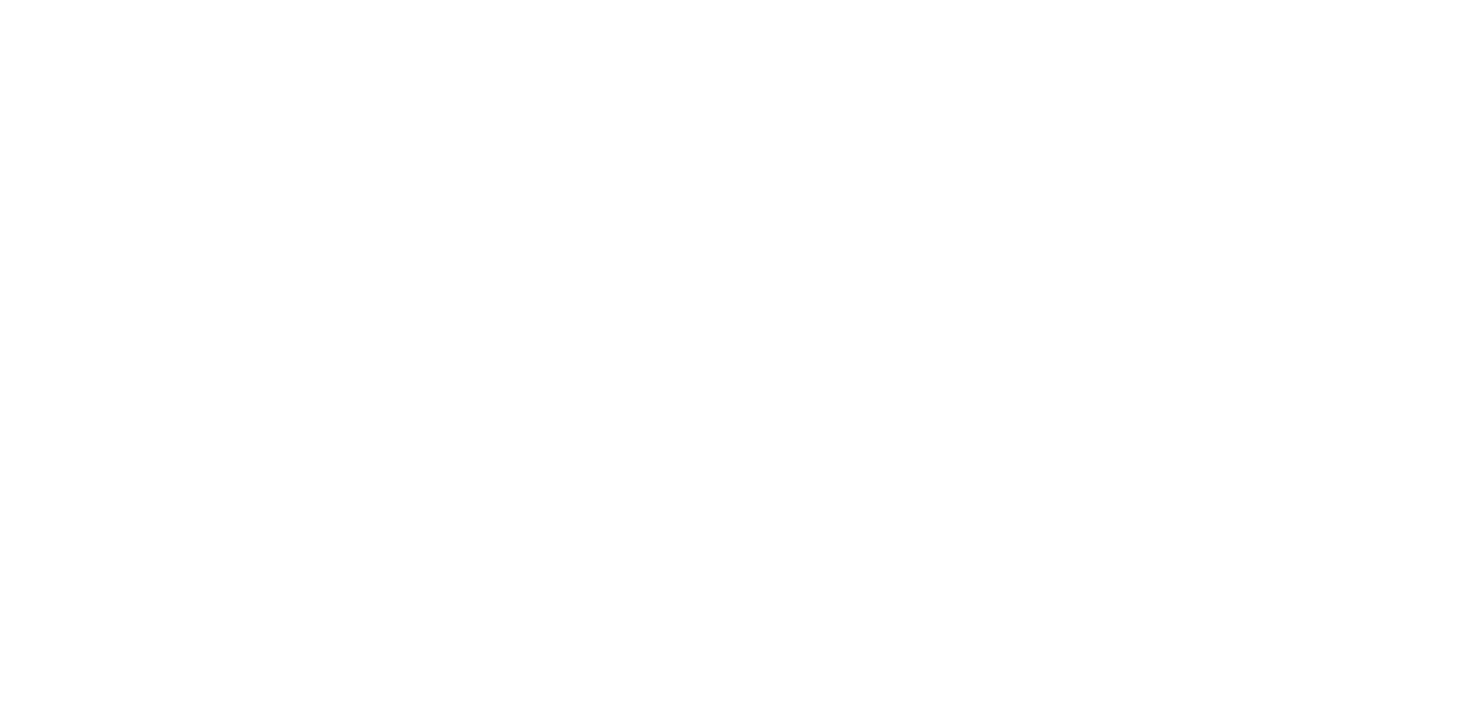 Zen Tech Limited